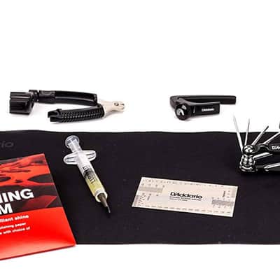 PLANET WAVES PW-EGMK-01 E-Guitar Maintenance Kit Gitarrenpflege-Set image 2