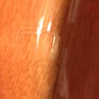 Tokai PRS Style Left Handed Natural image 8