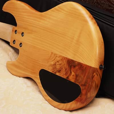 Alien Audio Constellation P5 USA built 2024 Figured Bookmatched Pine Body in Amber Finish image 10