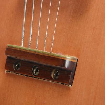 Bob Venn Custom "Smoke" Electric 5 String Mandolin 1970 image 7
