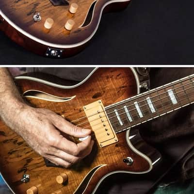 Michael Kelly Hybrid Special, Spalted Maple Burst Top, Chambered Mahogany Body image 4