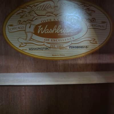 Washburn WSHAGPAKQTTB Acoustic Guitar 2024 - Tobacco Burst image 3
