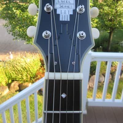 D'Angelico Excel DC Tour Collection 2024 - Gloss image 7