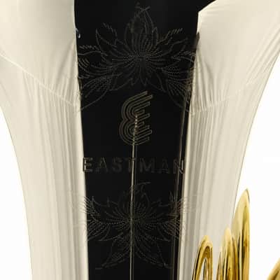 Eastman EBB534 Professional BBb 4/4 Tuba in Clear Lacquer SN Y2600055 image 2