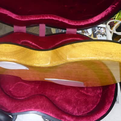 Berumen Electric Guitar Nazgal Sentient Pickups W/Case image 16