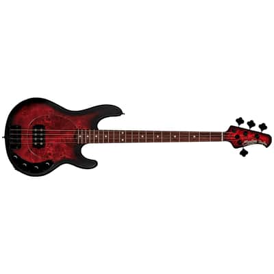 StingRay RAY34 Poplar Burl Dark Scarlet Burst Satin Sterling by Music Man image 2
