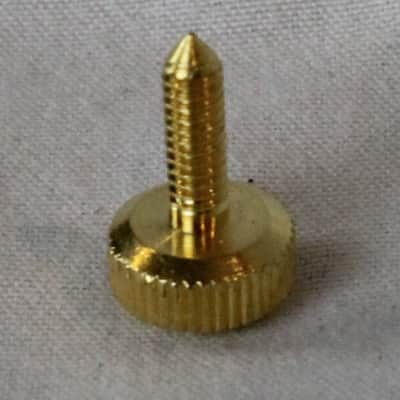 Accordion Repair Part - Golden Grill Screw Small (12mm x 16mm) image 2