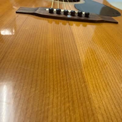 Ventura Bruno V-42 mid-1970's Natural Finish image 6