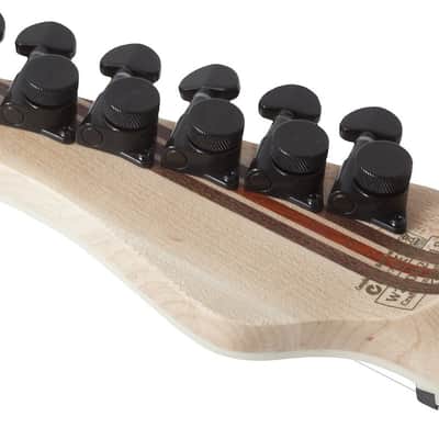 Schecter PT SLS Elite - Blood Burst (1375) image 5