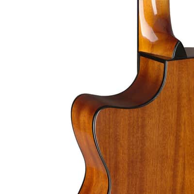 James Neligan BES-ACE N Auditorium Solid Spruce Top Mahogany Neck 6-String Acoustic-Electric Guitar image 5