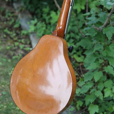 Kay/Harmony mandolin 1950's - natural image 12