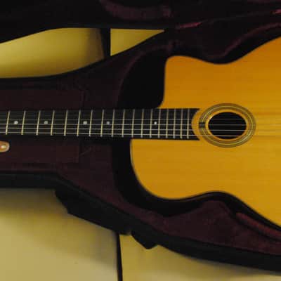 Stringphonic Advanced Model – #252 (Selmer‑Style Gypsy Jazz Guitar) image 2
