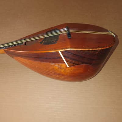 Rare Schwarzer Model 120 "Echo" bowl back mandolin Circa 1900 image 2