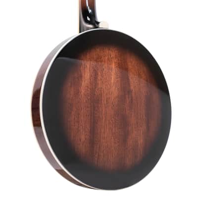 Gold Tone PS-250 Plectrum Special Bell Brass Tone Ring 4-String Banjo image 4