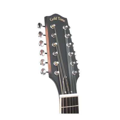 Gold Tone F-12: 12-string F-style Mando-Guitar with Pickup and Case image 6