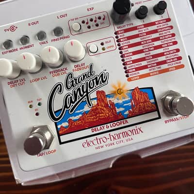 Electro-Harmonix Grand Canyon Delay and Looper image 4