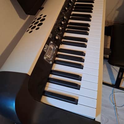 Korg Sv2 2023 - Grise image 2