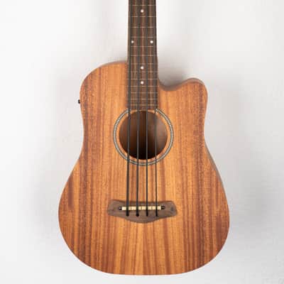 Gold Tone GT Series Micro Bass image 1