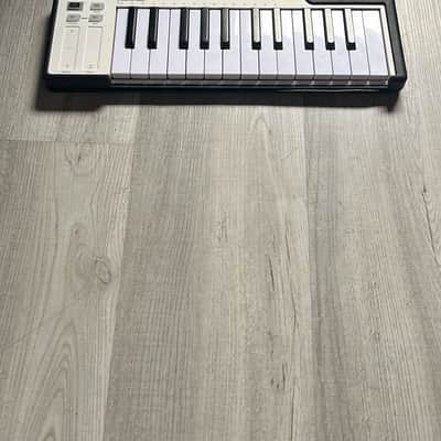Arturia Microlab Small 25-Key MIDI Controller