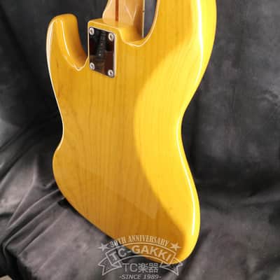 Fujigen(FGN) 2009 NCJB-10 image 10