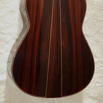 Esteve Alegria crossover cutaway / lattice braced / cedar top/48 mm nut width image 3