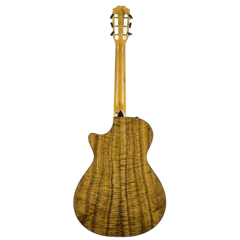 Taylor 712ce 12-Fret LTD Torrefied Spruce / Blackwood image 2