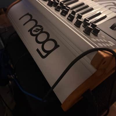 Immagine Moog Subsequent 25 - 2