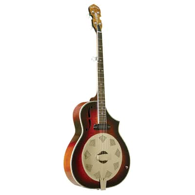 Gold Tone Acoustic Body Resophonic 5-String Banjo (With Electronics) image 2