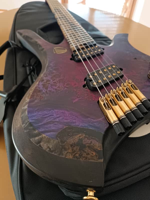 Overload Custom Guitars Themis 6 2025 like NEW fan fret | Reverb