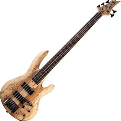 ESP LTD B-205SM 5-String Bass Spalted Maple Natural Satin LB205SMNS image 1