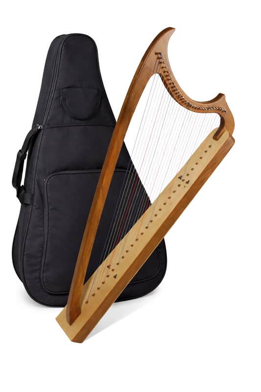 Early Music Shop HGHW29 Gothic 29-String Harp w/Gig Bag, Extra String Set & Tuning Tool image 1