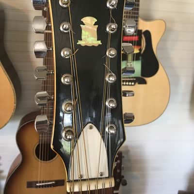 Epiphone No. 245 Nova 12 String Japan 1970's natural image 4