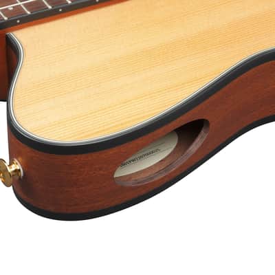 Ibanez Frh10 N Ntf image 5