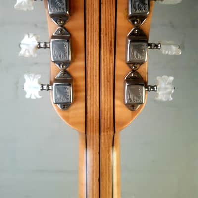 1964 HOYER BIANKA big Archtop Guitar. Holy grail vintage guitar! image 11