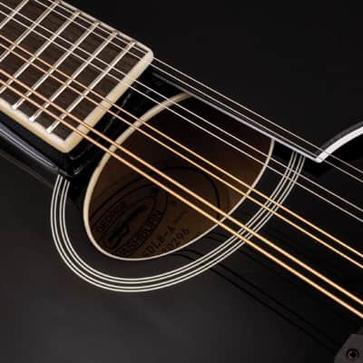 Washburn M1SDLB Bluegrass Series A-Style Mandolin. New with Full Warranty! image 14