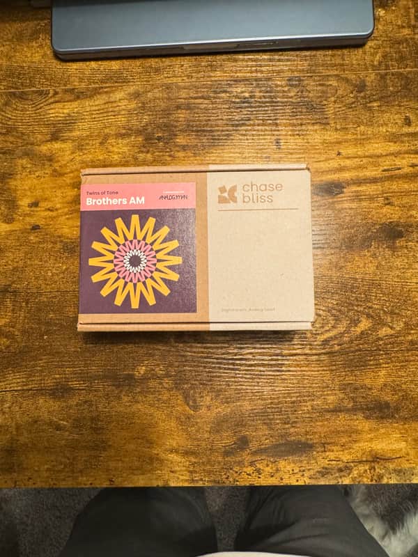 Chase Bliss Audio Brothers AM