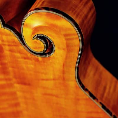 Micawber Haystack Octave Mandolin image 4