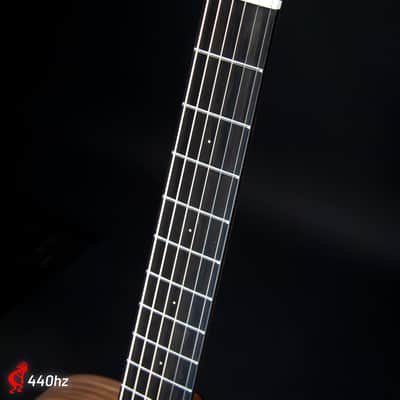 Furch Blue DC-SW EAS-VTC LR Baggs image 7