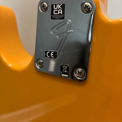 Fender Player Telecaster with Maple Fretboard 2018 - 2024 - Butterscotch Blonde image 6
