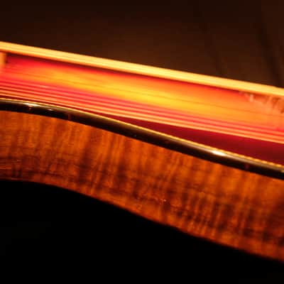 Rick Turner Renaissance  5 String Acoustic Electric Fretless Bass (RB 5-FL) Cherry Sunburst image 12