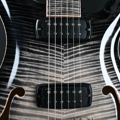 PRS Private Stock 30th Anniversary "Birds of a Feather" Hollowbody I #179 image 6