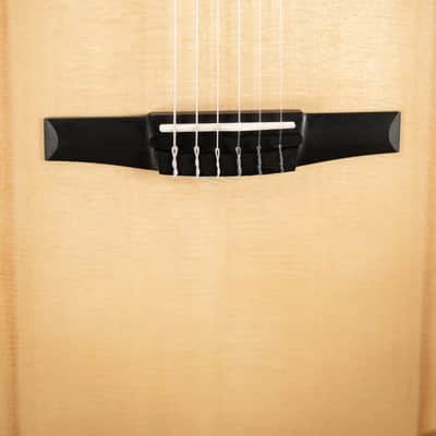 Taylor 314ce-N Nylon Grand Auditorium Acoustic/Electric Guitar with Hardshell Case image 11