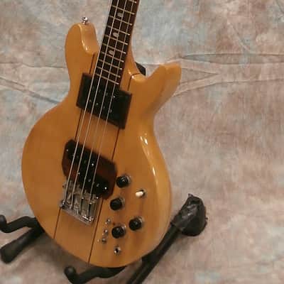 1970's Vintage Pedulla EL-10B Bass image 3
