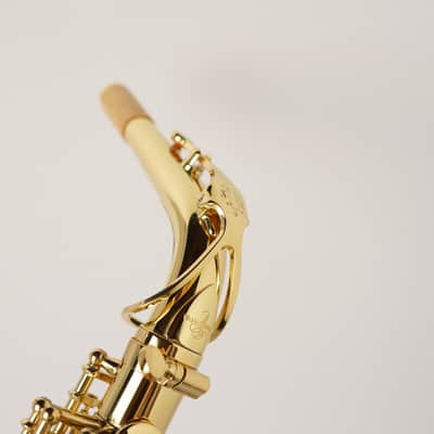 【Special price】 Yanagisawa A-WO1 [AW01] Professional Alto Saxophone image 3