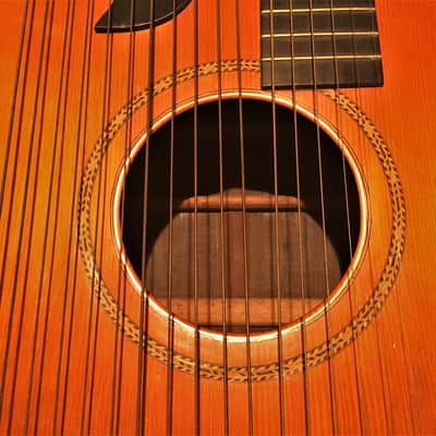 RARE Vintage Weymann Harp Guitar One of a kind(?) Rosewood and Spruce image 9