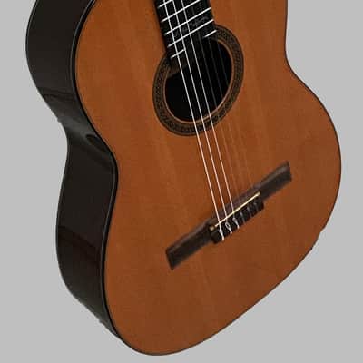 Martin N-20WN Willie Nelson "Trigger" Limited Edition Signature Model 1998 image 4