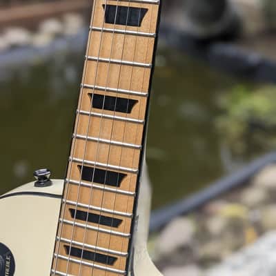 Epiphone Les Paul Negative Standard w/ Gibson Burstbuckers & Hard shell case image 3