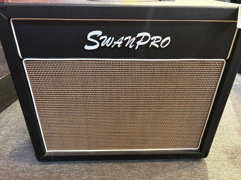 Pre-owned SwanPro RCS20 Custom 1x12 Combo image 1
