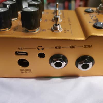Walrus Audio Mako ACS1 Amp + Cab Simulator 2021 - 2024 - Gold image 3