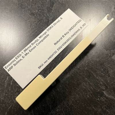 Ensoniq Replacement Weighted B Key (Ensoniq Keybeds) for Ensoniq ESQ-1 (metal) & Mirage DSK8 (gray), E-Mu Emax I Keyboard, ARP Solina (B417)